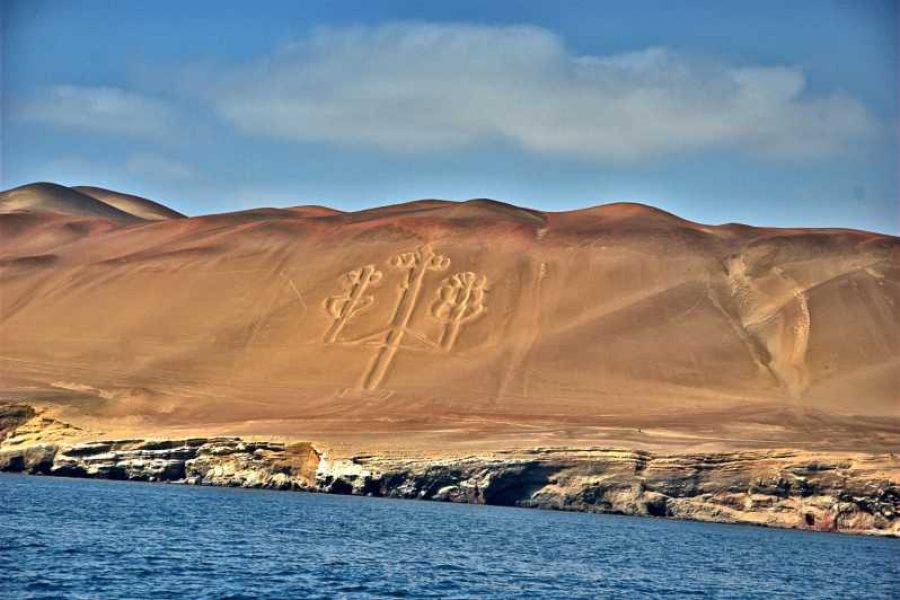 Día completo Paracas- Huacachina desde Lima