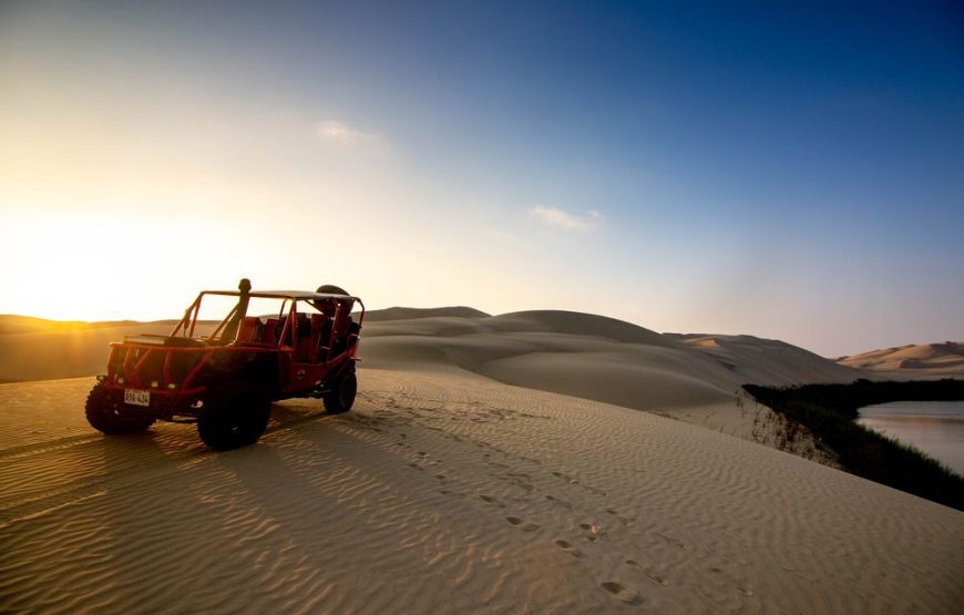 Excursión de un día Paracas Y Huacachina Premium desde Lima