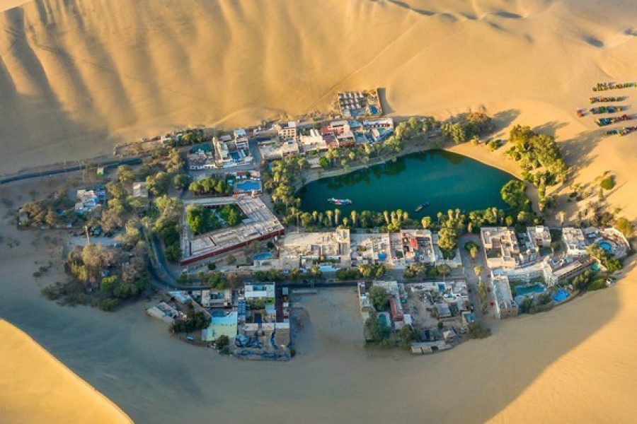 Full Day Paracas –Ica económico desde Lima