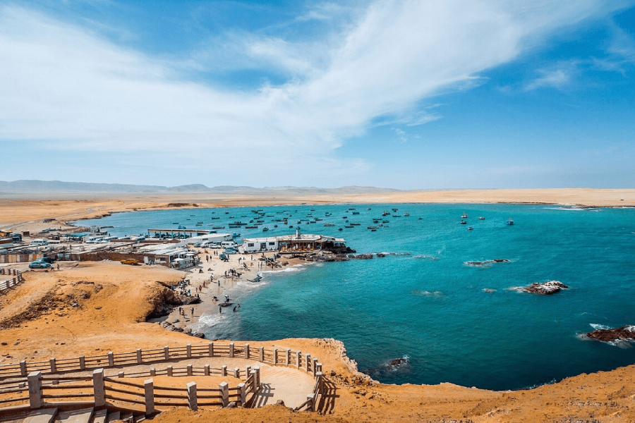 Tour Reserva Nacional De Paracas