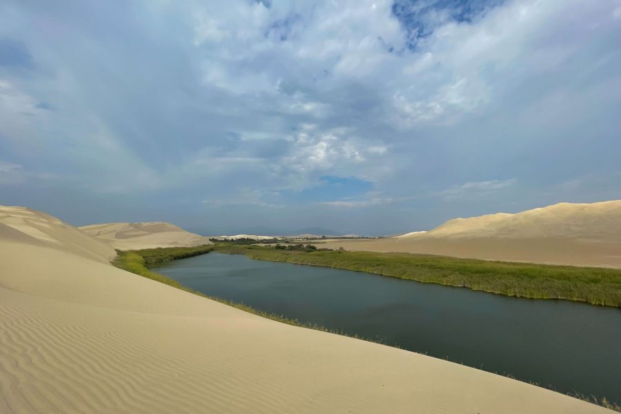 Tour Oasis de Costa Rica + Sandboarding