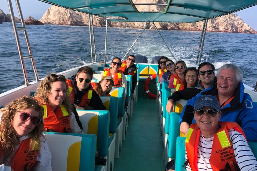 Excursión de un día Paracas Y Huacachina Premium desde Lima