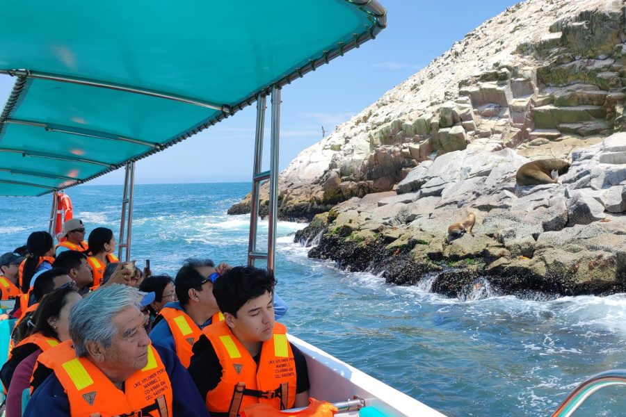 Full Day Paracas –Ica Básico desde Miraflores