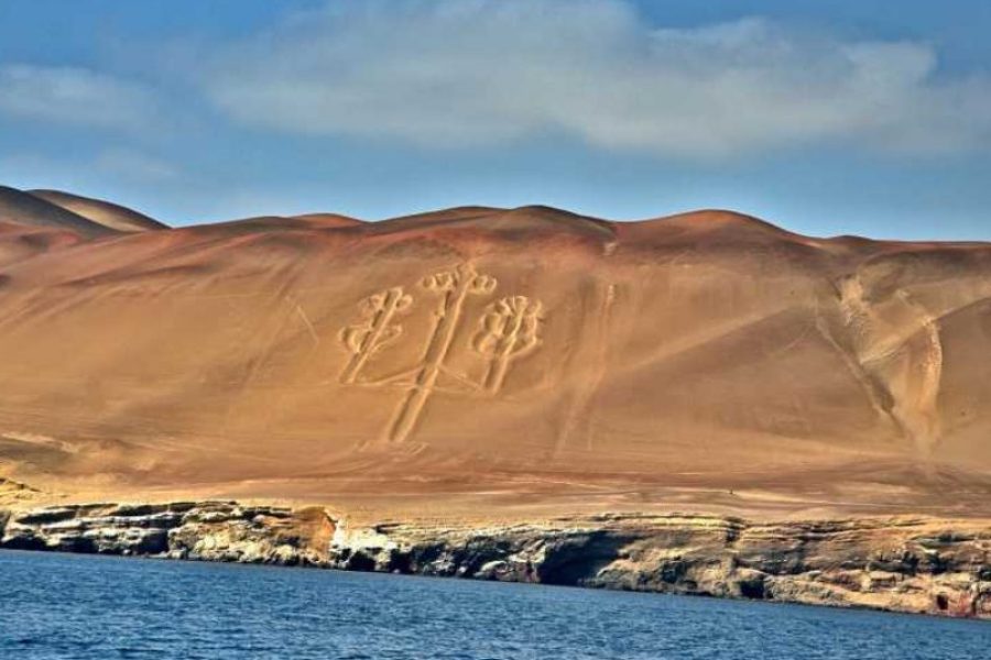 Tour Islas Ballestas +Reserva Nacional de Paracas + Traslado a Huacachina.