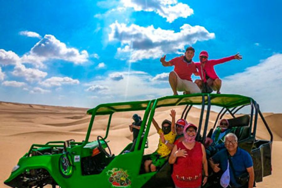 Excursión de un día Paracas Y Huacachina Premium desde Lima