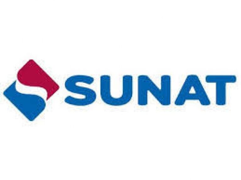reporte-sunat-600x449-1-768x574