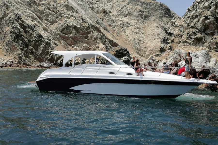 Tour Islas Ballestas Privado en Yate